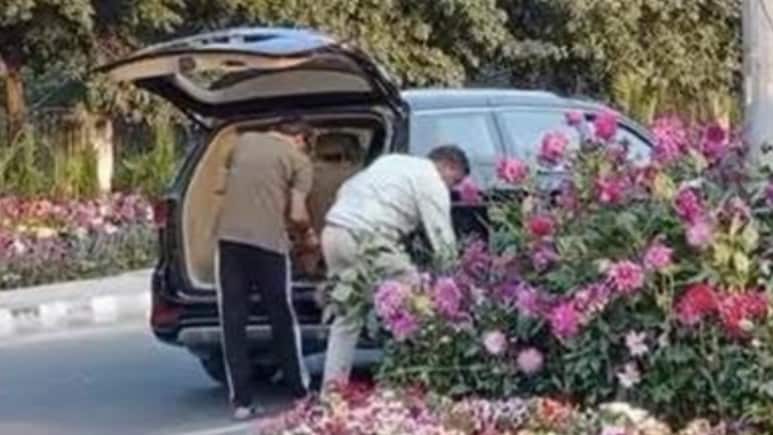The Honesty Deficit: How Petty Theft Is Holding India Back