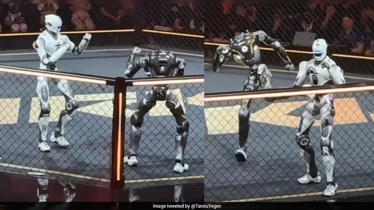 Video: Humanoid Robot Keeps Fighting After Losing Its Head, Stuns Crowd At China Combat Event