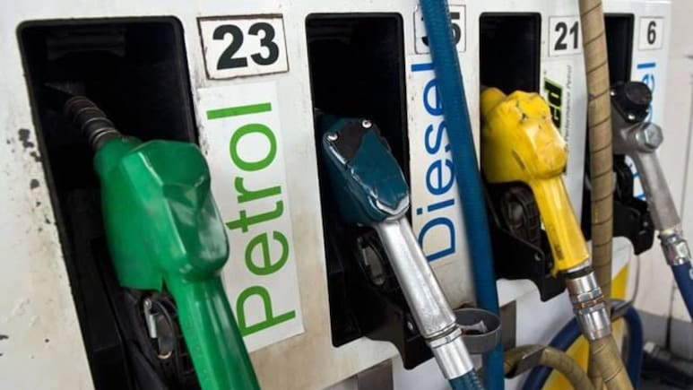 E20 Fuel Can't Be Cheaper Than Pure Petrol. Centre Explains Why
