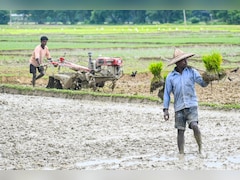 कमजोर मॉनसून का असर, 53.74 लाख हेक्टेयर में फसल की बुआई नहीं कर सके किसान