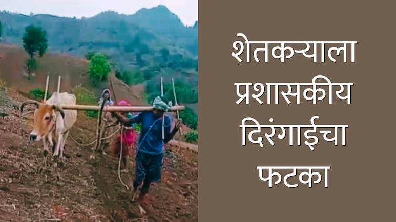 Nandurbar News : ऐन हंगामात बैल दगावला, पण मदत मिळेना; अखेर आदिवासी शेतकऱ्याने स्वतःला जुंपलं नांगराला
