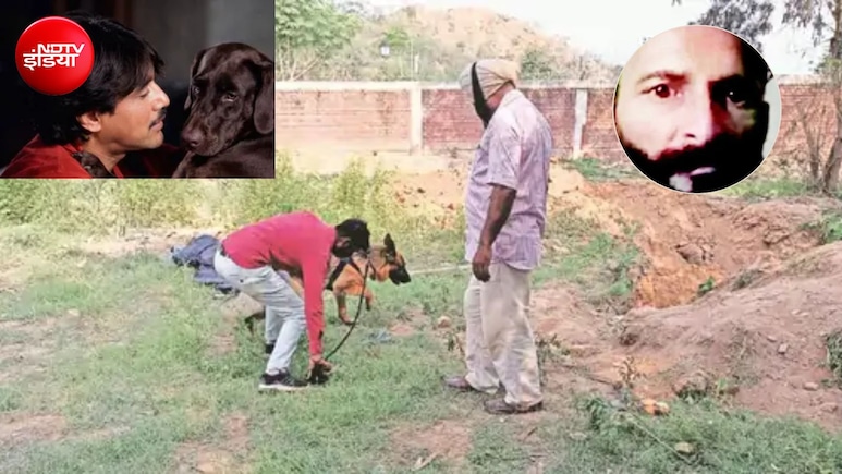 'तेरी मेहरबानियां' जैसी सच्ची कहानी! पालतू कुत्ते रॉकी ने खोला मालिक के मर्डर का राज, आरोपी को मिली सजा