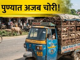 Pune Crime: अरेरे! पैसा, सोने, चांदी नव्हे... पुण्यात झाली अजब चोरी; अख्ख्या शहरात एकच खळबळ