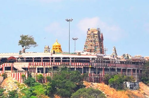 Palani Murugan Temple