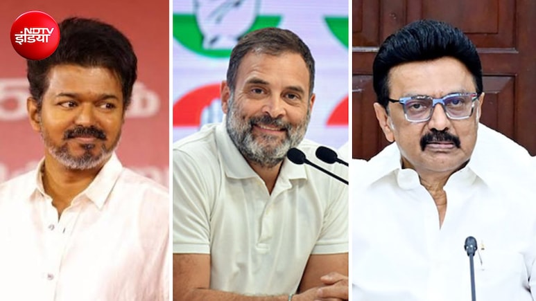 'विजय, स्टालिन और राहुल को साथ आना चाहिए', TVK-DMK गठबंधन पर VCK चीफ की सलाह से जोश में कांग्रेस सांसद