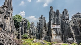 This Unique Place Has A Forest Of Stone Instead Of Trees