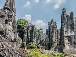 This Unique Place Has A Forest Of Stone Instead Of Trees