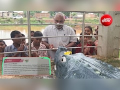 इंसान-मगरमच्छ की अनोखी दोस्ती अब NCERT किताबों में, छत्तीसगढ़ के 'गंगाराम' को मिलेगी नई पहचान