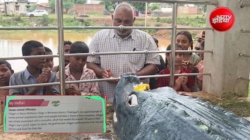 इंसान-मगरमच्छ की अनोखी दोस्ती अब NCERT किताबों में, छत्तीसगढ़ के 'गंगाराम' को मिलेगी नई पहचान