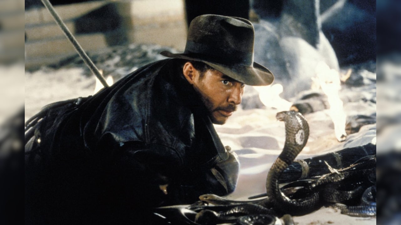 Harrison Ford Harrison Ford