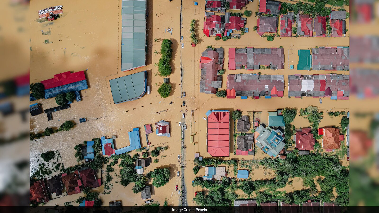 Chinese Teen Skips Holiday to Aid Flood Victims