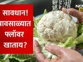 Cauliflower Cleaning: सावधान! पावसाळ्यात फ्लॉवर खाण्यापूर्वी पाहा हा VIDEO! नाहीतर पोटात जाईल घाण, अळ्या, कीटक