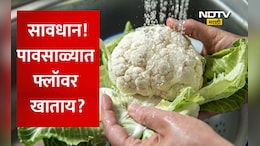Cauliflower Cleaning: सावधान! पावसाळ्यात फ्लॉवर खाण्यापूर्वी पाहा हा VIDEO! नाहीतर पोटात जाईल घाण, अळ्या, कीटक