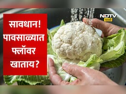 Cauliflower Cleaning: सावधान! पावसाळ्यात फ्लॉवर खाण्यापूर्वी पाहा हा VIDEO! नाहीतर पोटात जाईल घाण, अळ्या, कीटक