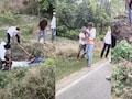 MP में बुजुर्ग पर ताबड़तोड़ लाठियां बरसाईं, रहम की भीख मांगता रहा; दबंगों के आतंक का सामने आया वीडियो