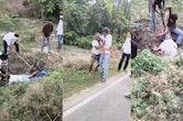 MP में बुजुर्ग पर ताबड़तोड़ लाठियां बरसाईं, रहम की भीख मांगता रहा; दबंगों के आतंक का सामने आया वीडियो
