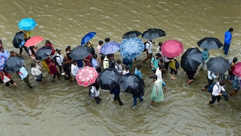 Mumbai Rains Live Updates: Extremely Heavy Spells In Mumbai, Thane; Eight Injured In Tree Fall