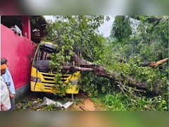 कर्नाटक में भीषण हादसा, स्कूल बस पर पेड़ ग‍िरने से 5 साल की बच्ची की दर्दनाक मौत; दो बच्‍चे घायल