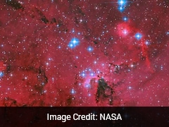 NASA's Hubble Telescope Spots Cosmic Nursery Creating New Generations Of Stars