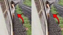 Mumbai Local : लोकलच्या दारात लटकल्याने साडी खांबाला...दिवा-मुंब्रा दरम्यानचा थरारक VIDEO VIRAL