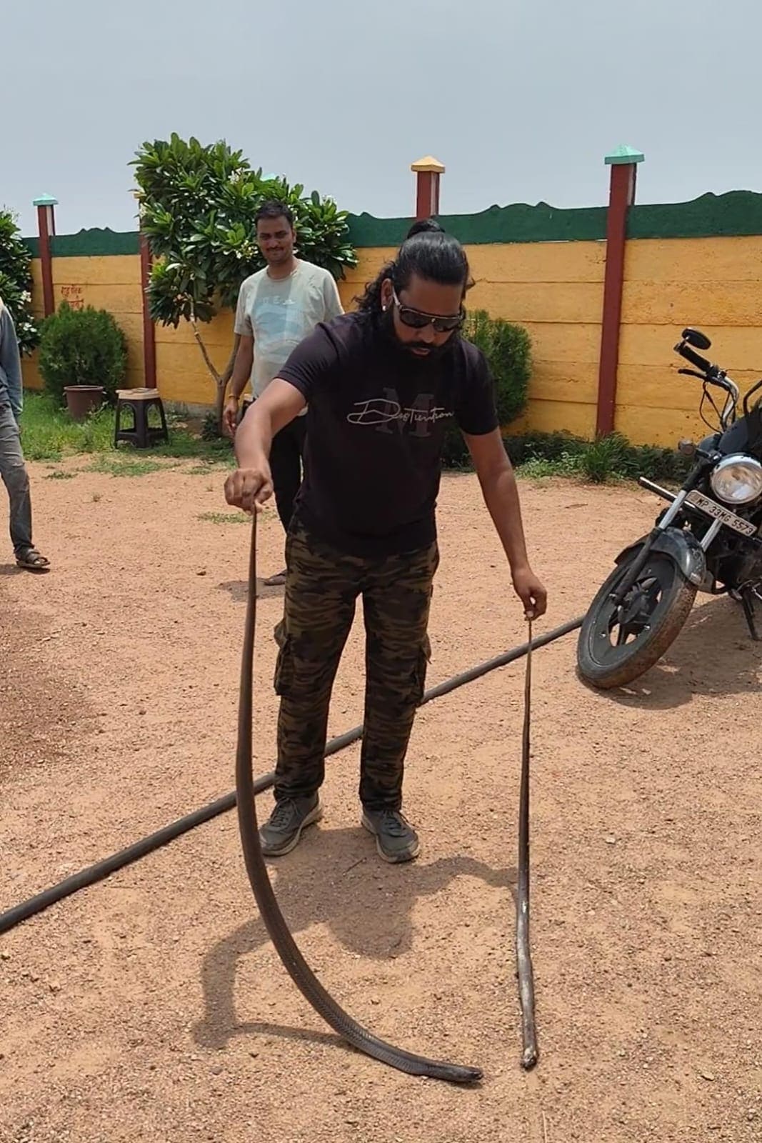 Cobra Snake Rescue Operation: शिवपुरी में सर्प मित्र सलमान पठान ने पकड़े गए नाग-नागिन