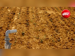 23% कम बारिश ने बढ़ाई किसानों की टेंशन; खरीफ फसलों की बुआई 42 लाख हेक्टेयर घटी, क्या दाल-तेल होंगे महंगे!