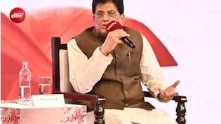 अमेरिका से ट्रेड डील में किस चीज को लेकर 'परेशान' रहे पीयूष गोयल, खुद बताया पूरा वाकया