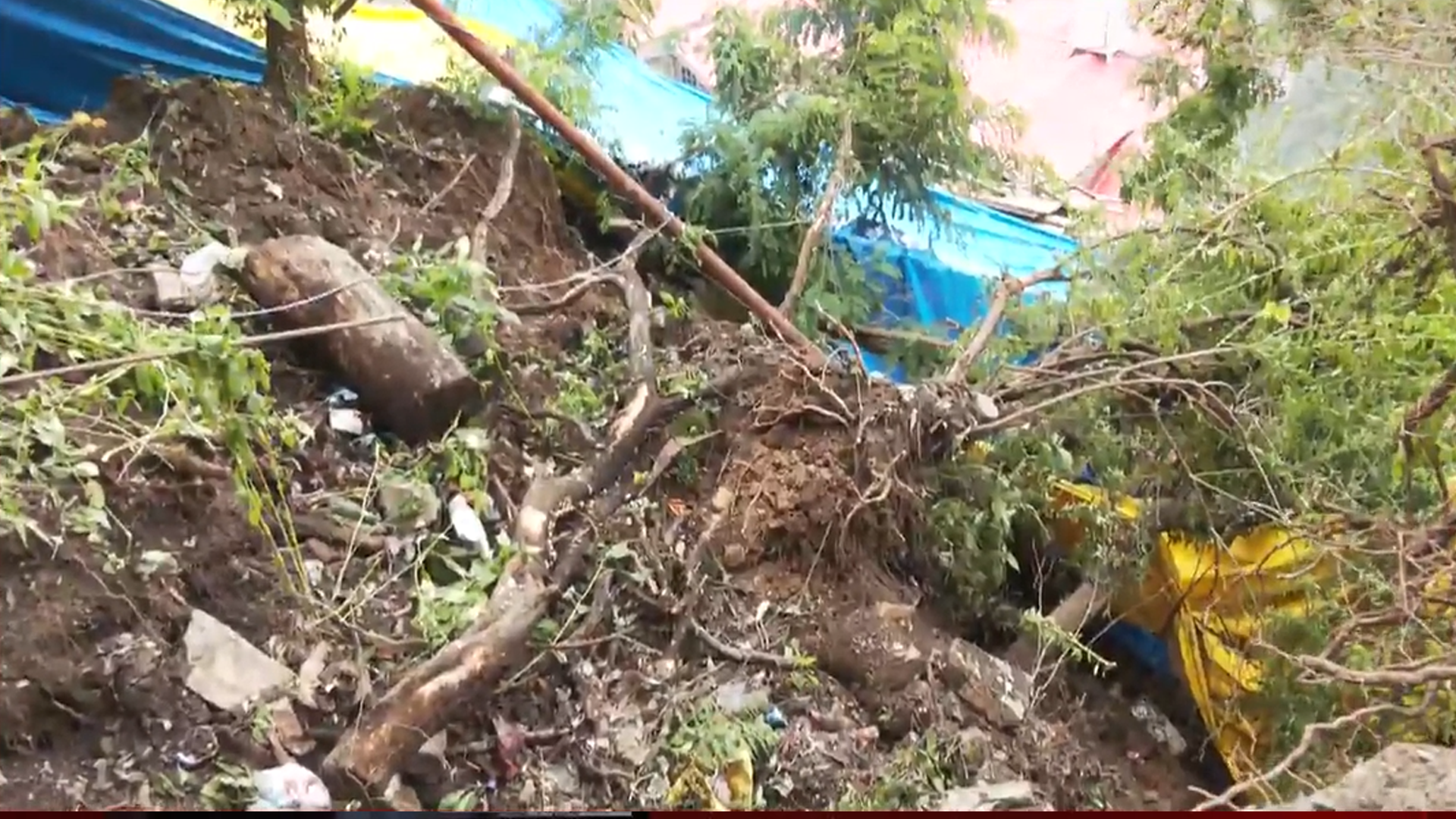 Shimla Landslide: Wall Collapses Near Sanjauli College After Heavy Rain