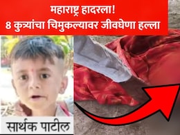 Stray Dog Attack: महाराष्ट्र हादरला! 3 वर्षांच्या सार्थकचा 8 भटक्या कुत्र्यांनी घेतला बळी, शिर केले धडावेगळे