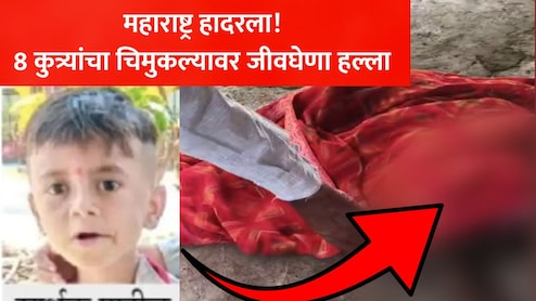 Stray Dog Attack: महाराष्ट्र हादरला! 3 वर्षांच्या सार्थकचा 8 भटक्या कुत्र्यांनी घेतला बळी, शिर केले धडावेगळे