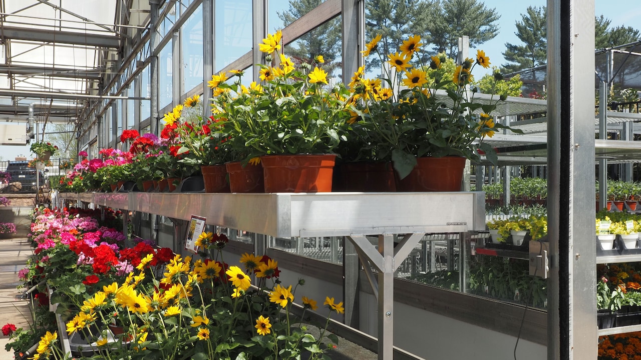 Match the level according to the plants needs