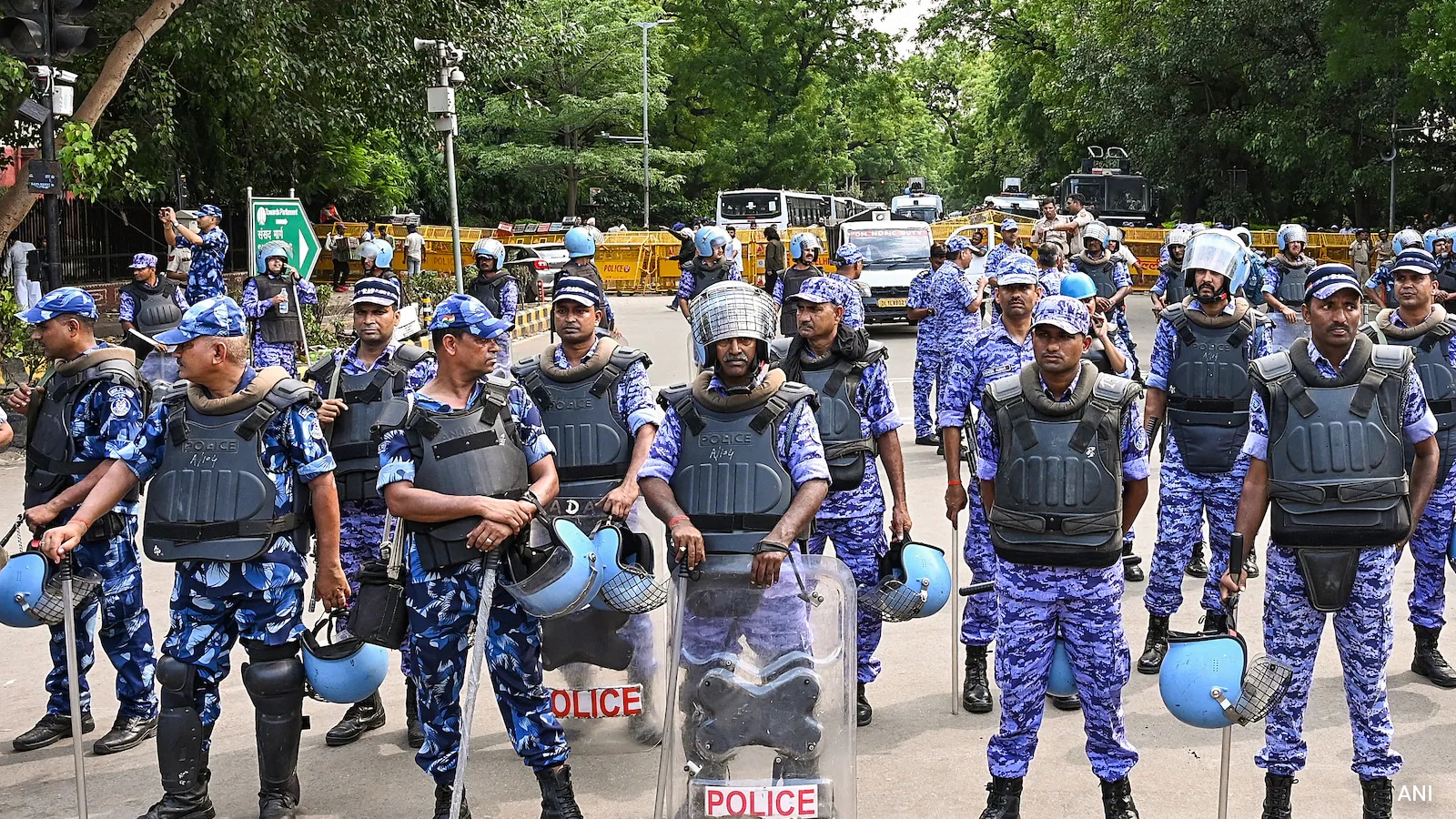 After Outrage, Rapid Action Force Bans Pellet Guns, Shock Weapons In Delhi: Sources