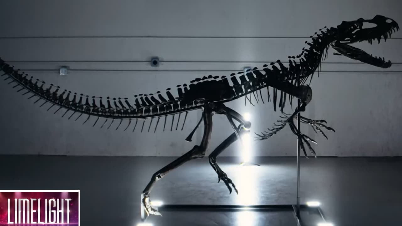 'Gus' Becomes World's Most Expensive Dinosaur, Sells For Record $50 Million