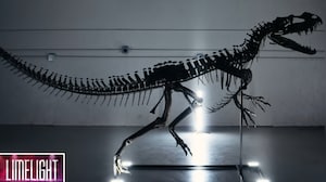 'Gus' Becomes World's Most Expensive Dinosaur, Sells For Record $50 Million