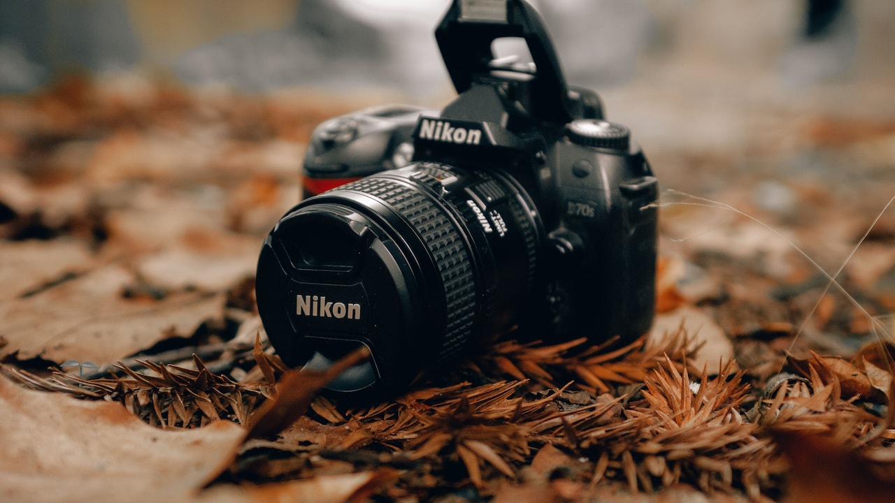 How To Choose A Digital SLR Camera For Your First Photography Hobby How To Choose A Digital SLR Camera For Your First Photography Hobby
