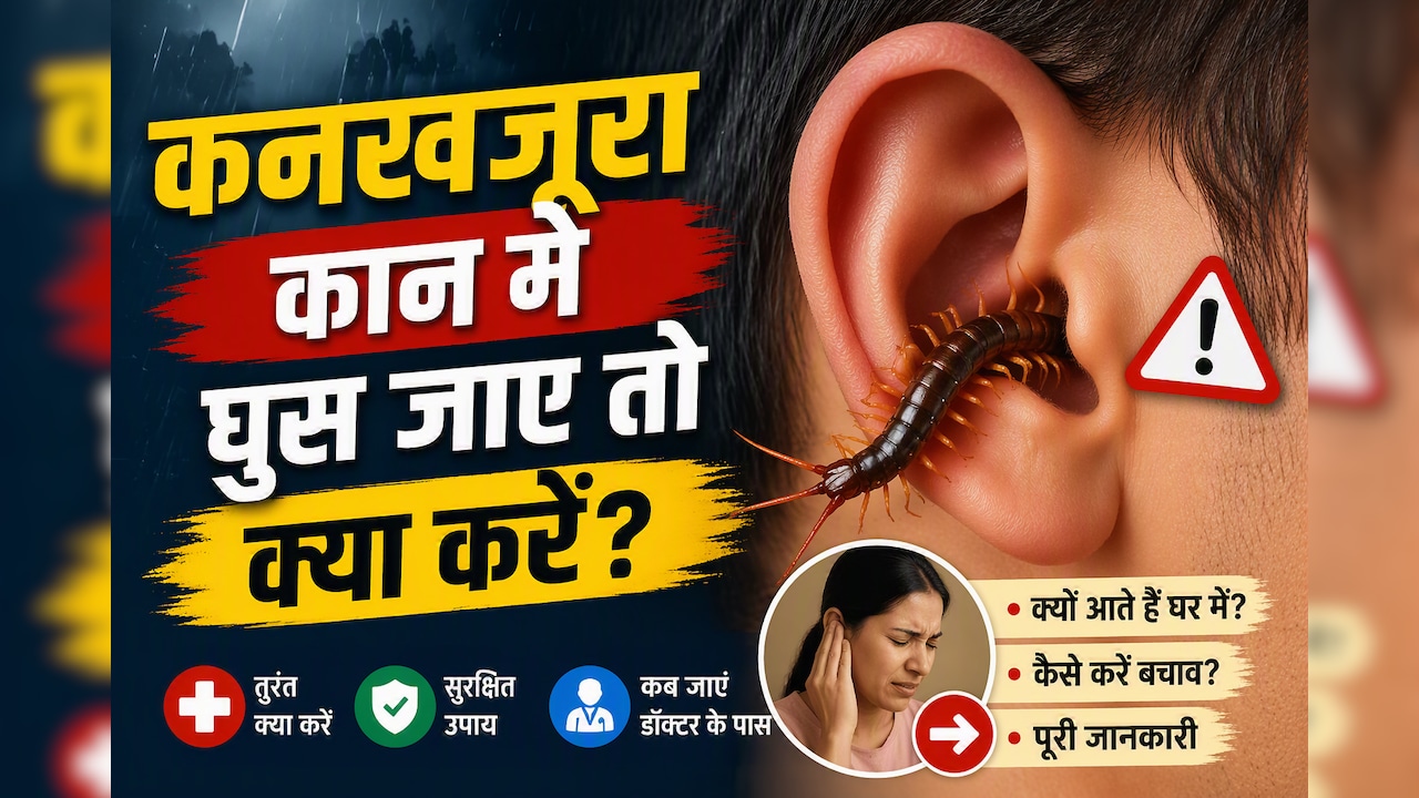बारिश में टॉयलेट से निकल रहा है कनखजूरा? गलती से कान में घुस जाए तो भूलकर भी न करें ये गलती