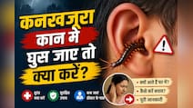 बारिश में टॉयलेट से निकल रहा है कनखजूरा? गलती से कान में घुस जाए तो भूलकर भी न करें ये गलती