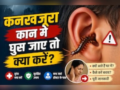 बारिश में टॉयलेट से निकल रहा है कनखजूरा? गलती से कान में घुस जाए तो भूलकर भी न करें ये गलती