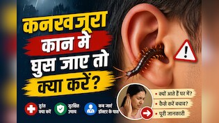 बारिश में टॉयलेट से निकल रहा है कनखजूरा? गलती से कान में घुस जाए तो भूलकर भी न करें ये गलती