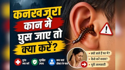 बारिश में टॉयलेट से निकल रहा है कनखजूरा? गलती से कान में घुस जाए तो भूलकर भी न करें ये गलती