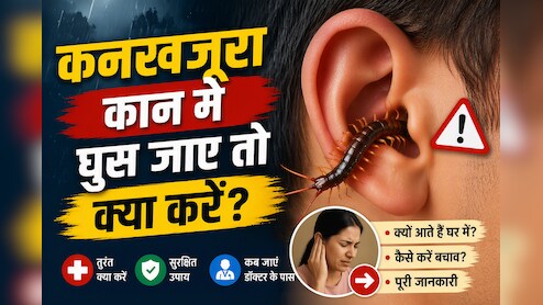 बारिश में टॉयलेट से निकल रहा है कनखजूरा? गलती से कान में घुस जाए तो भूलकर भी न करें ये गलती