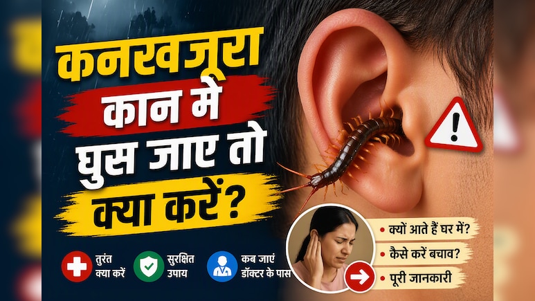 बारिश में टॉयलेट से निकल रहा है कनखजूरा? गलती से कान में घुस जाए तो भूलकर भी न करें ये गलती