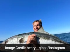 Man Survives Shark Attack While Diving In Fiji, Undergoes Four Surgeries
