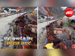 बाबा बर्फानी की यात्रा में बेजुबानों की भी सेवा, घोड़ों-खच्चरों के लिए लगा खास लंगर, VIDEO वायरल
