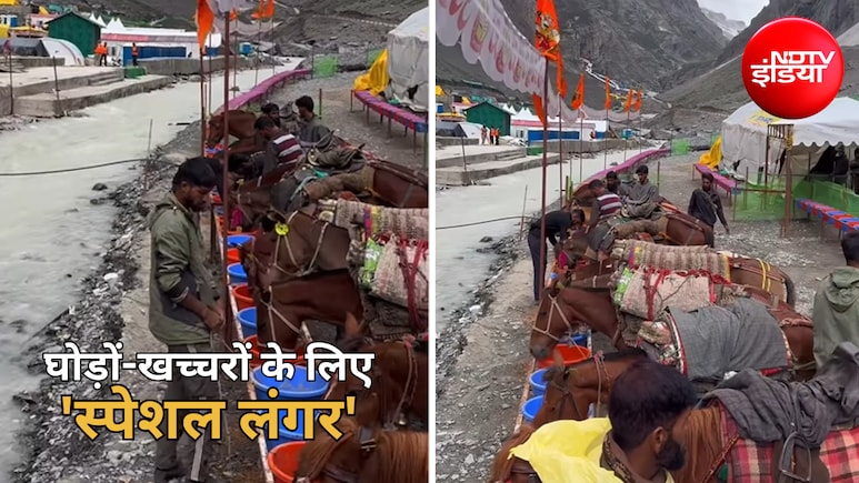 बाबा बर्फानी की यात्रा में बेजुबानों की भी सेवा, घोड़ों-खच्चरों के लिए लगा खास लंगर, VIDEO वायरल