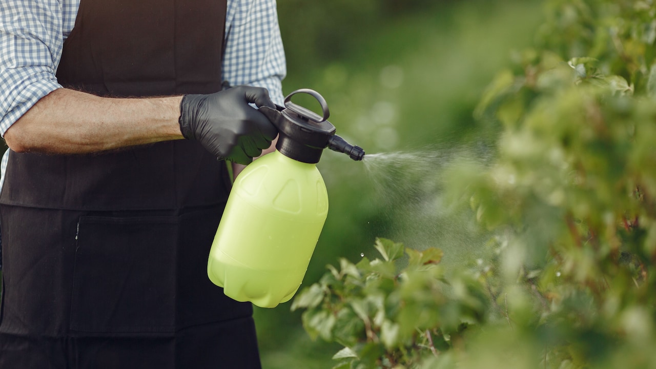 Get a garden sprayer to mist potted plants on a home balcony Get a garden sprayer to mist potted plants on a home balcony