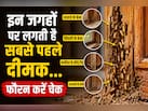 मानसून शुरू हो गया है घर के इन कोनों को जरूर कर लें चेक, इन जगहों पर लगती हैं सबस पहले दीमक