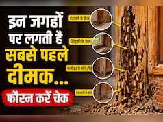 मानसून शुरू हो गया है घर के इन कोनों को जरूर कर लें चेक, इन जगहों पर लगती हैं सबस पहले दीमक