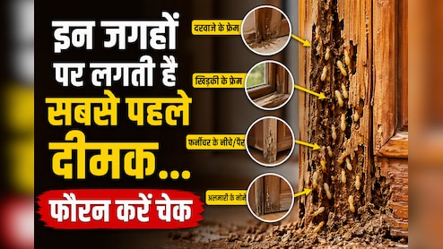 मानसून शुरू हो गया है घर के इन कोनों को जरूर कर लें चेक, इन जगहों पर लगती हैं सबस पहले दीमक