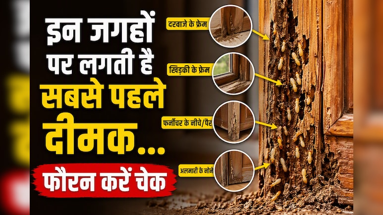 मानसून शुरू हो गया है घर के इन कोनों को जरूर कर लें चेक, इन जगहों पर लगती हैं सबस पहले दीमक